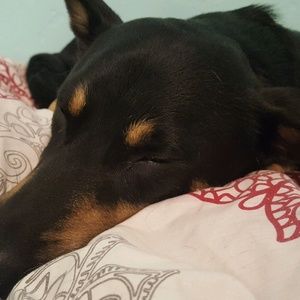 Meet your Posher, Ruby